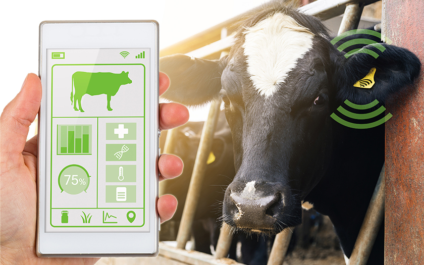 e-peas-cattle-tracking-tag-energy-harvesting